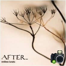 After... - Endless Lunatic