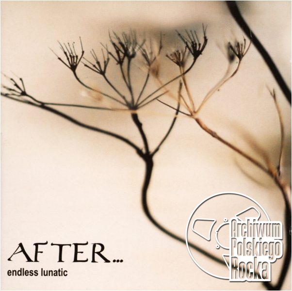 After... - Endless Lunatic
