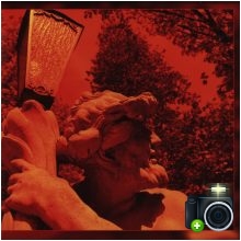 Annalist - Syrinx