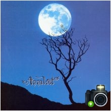 Annalist - Memories