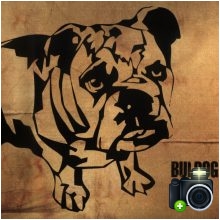 Buldog - Płyta