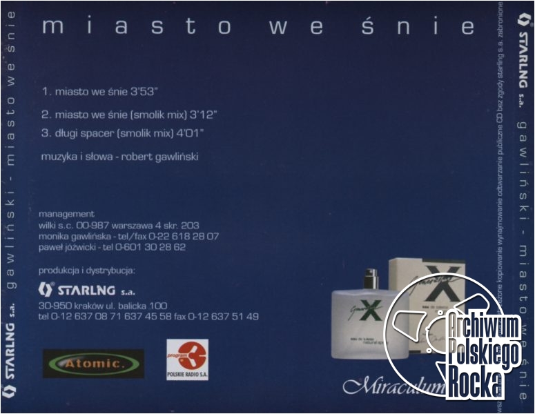Robert Gawliński - Miasto we śnie
