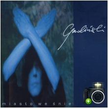 Robert Gawliński - Miasto we śnie