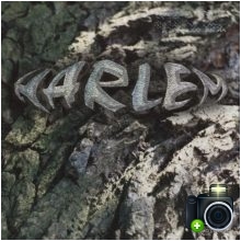 Harlem - Kora