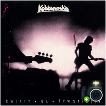 Kobranocka - Kwiaty na żywopłocie