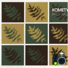 Komety - Paso Fino