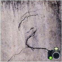 Lunatic Soul - Impressions