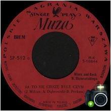 Wojciech Skowroński - Ja to się cieszę byle czym