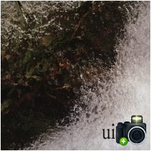 Uistiti - Uistiti Uistiti - Uistiti